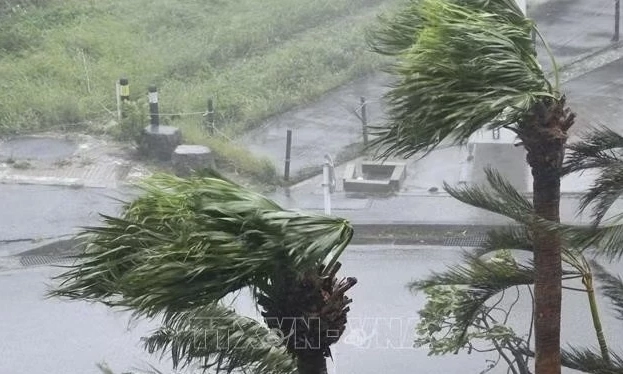 Mưa b&atilde;o li&ecirc;n tiếp g&acirc;y ngập lụt v&agrave; sạt lở tại Nhật Bản