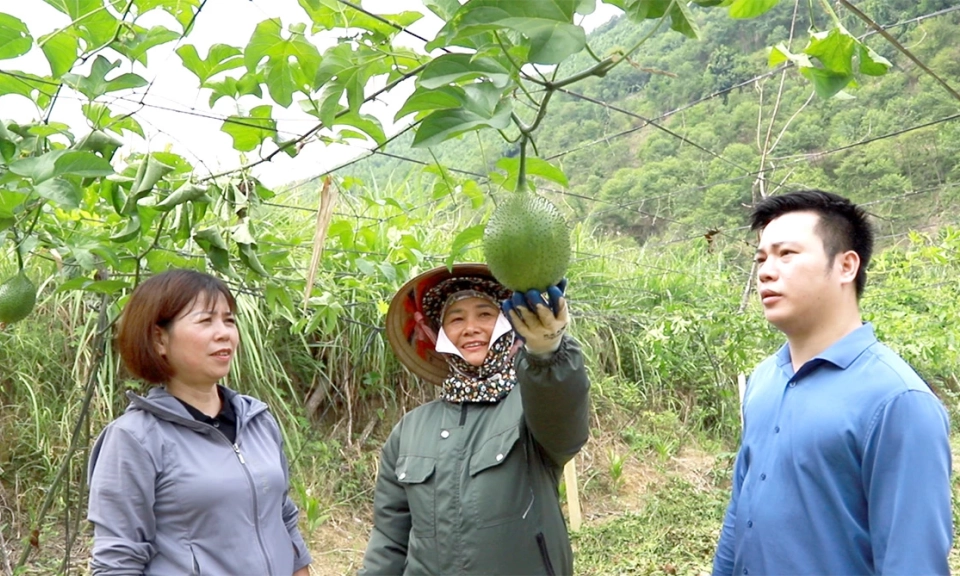 Kiến Thiết tạo động lực ph&aacute;t triển từ lợi thế địa phương