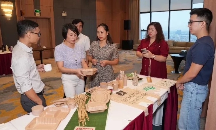 Giảm &ocirc; nhiễm nhựa: Gỡ điểm nghẽn ch&iacute;nh s&aacute;ch để th&uacute;c đẩy c&ocirc;ng nghệ xanh