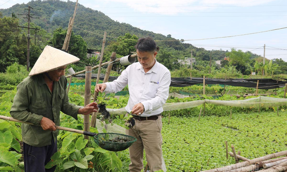 Bắc Quang đa dạng m&ocirc; h&igrave;nh ph&aacute;t triển kinh tế