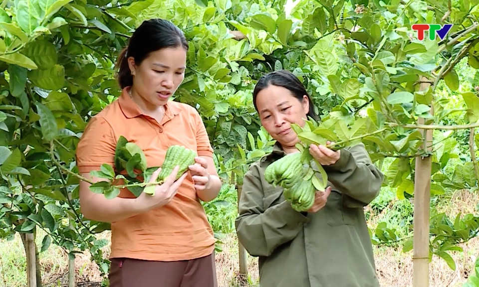Y&ecirc;n Ph&uacute; - Kh&aacute;t vọng đổi mới từ c&aacute;c kh&acirc;u đột ph&aacute;