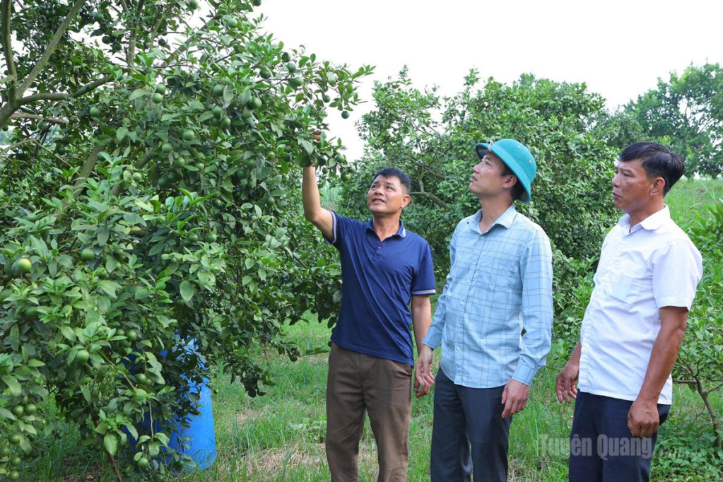 Lãnh đạo xã Phú Lương kiểm tra các mô hình phát triển kinh tế tại địa phương.