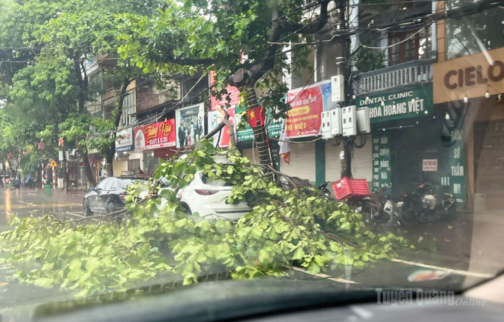 Mưa bão làm đổ gãy cây cối trên địa bàn phường Minh Xuân.