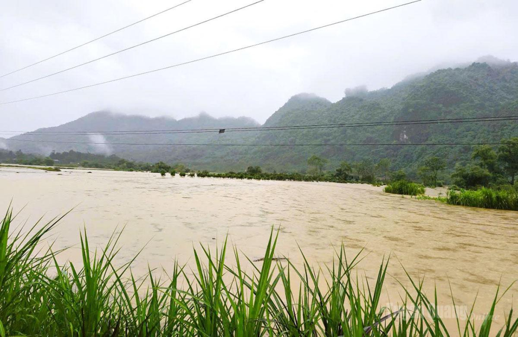 Mưa lũ gây ngập úng cục bộ trên địa bàn xã Tiên Yên gây sạt lở 12 nhà dân và ảnh hưởng lớn đến sản xuất nông nghiệp.