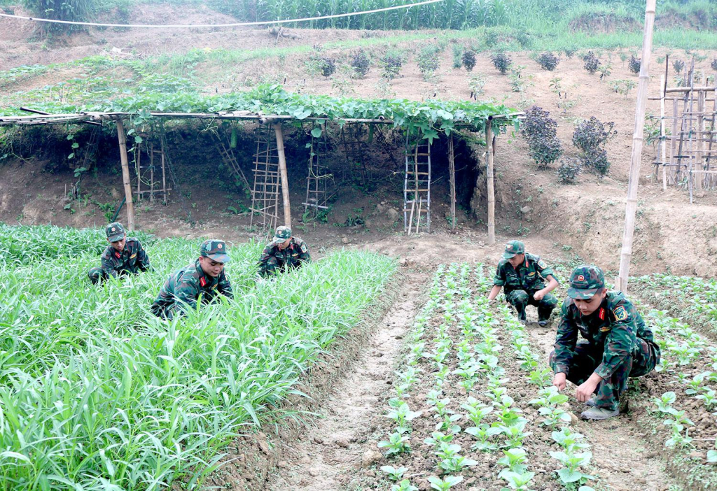 Sau những giờ làm nhiệm vụ trên thực địa, cán bộ, chiến sĩ tích cực tăng gia sản xuất, góp phần cải thiện đời sống.