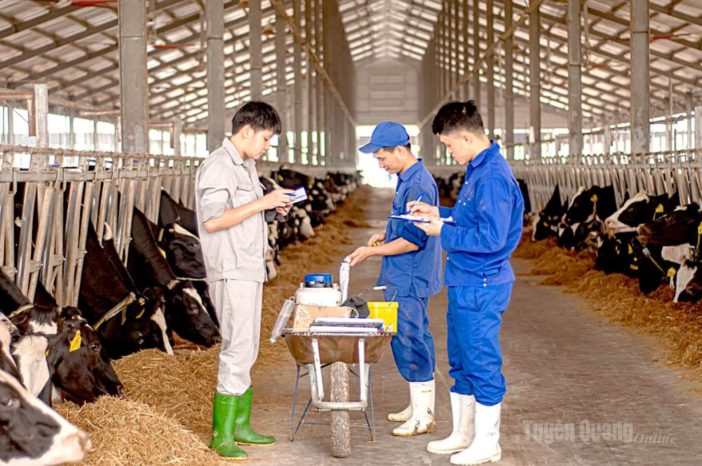Công ty Hồ Toản đạt chứng chỉ quốc tế Global S.L.P.