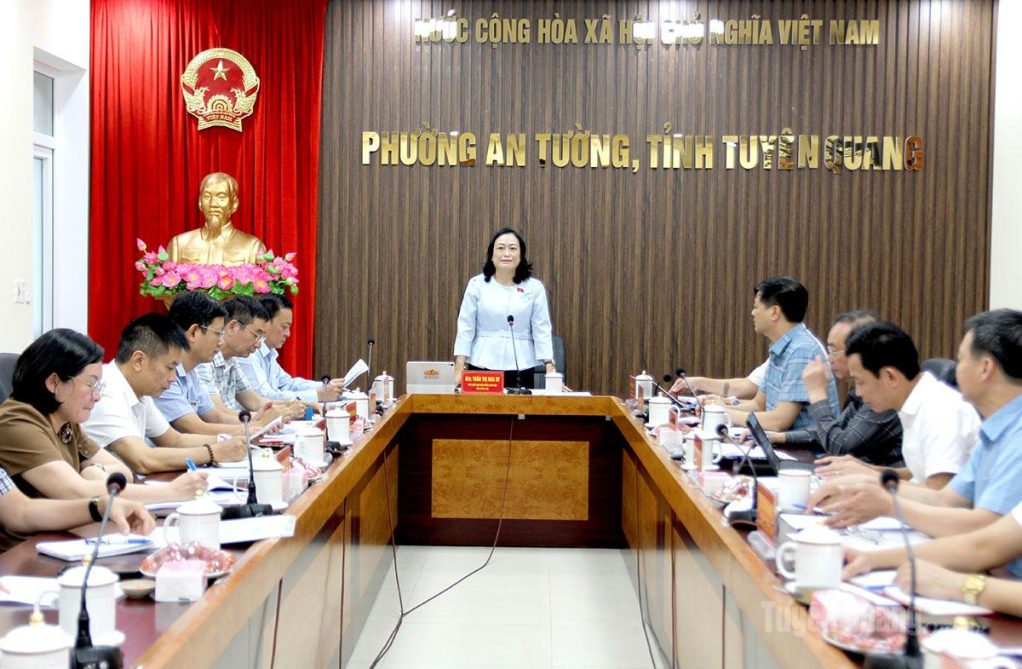 Đồng chí Trần Thị Hoa Ry, Phó Chủ tịch Hội đồng Dân tộc của Quốc hội phát biểu tại buổi làm việc.