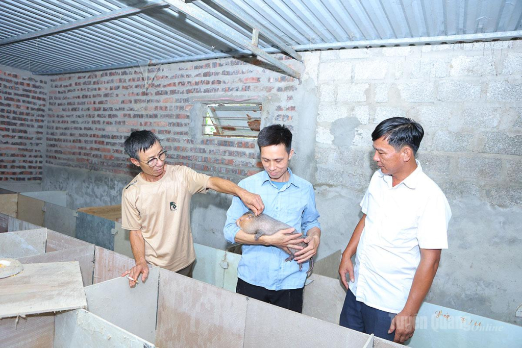 Mô hình nuôi dúi là một trong những con đặc sản mới đang được xã Phú Lương nhân rộng theo đề án số 06.