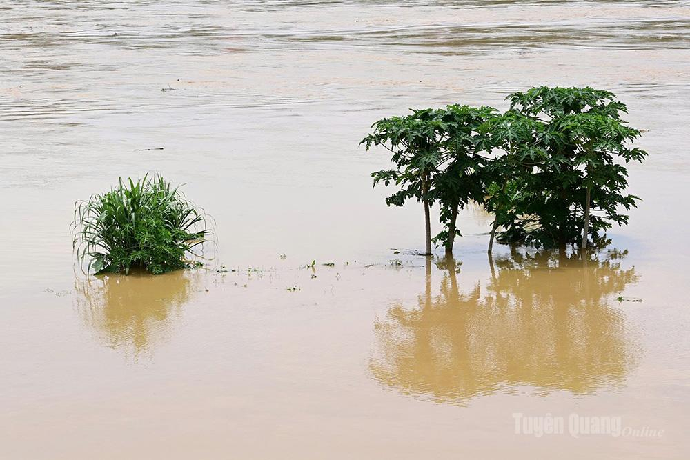 Mưa bão trong thời gian qua đã gây ngập úng ở một số địa phương trong tỉnh.