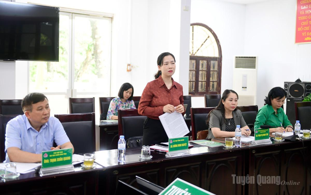 Lãnh đạo Tỉnh đoàn phát biểu tại cuộc họp.