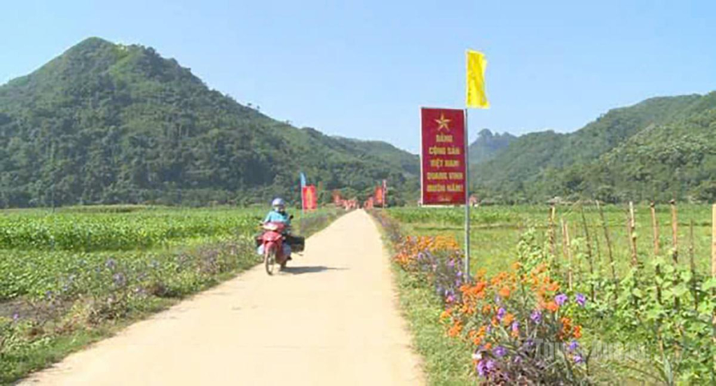 Người dân xã Bình An đồng lòng xây dựng tuyến đường hoa.