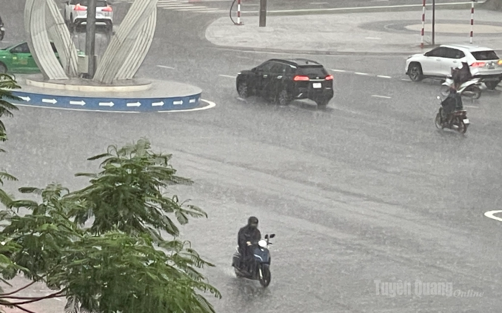 Trong 24 giờ qua, nhiều nơi trên địa bàn tỉnh đã ghi nhận có mưa vừa đến mưa to, một số nơi mưa rất to.
