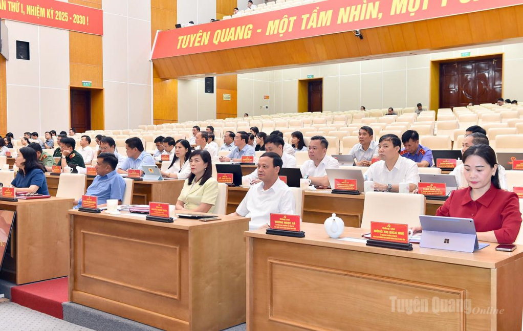 Các đại biểu dự hội nghị.