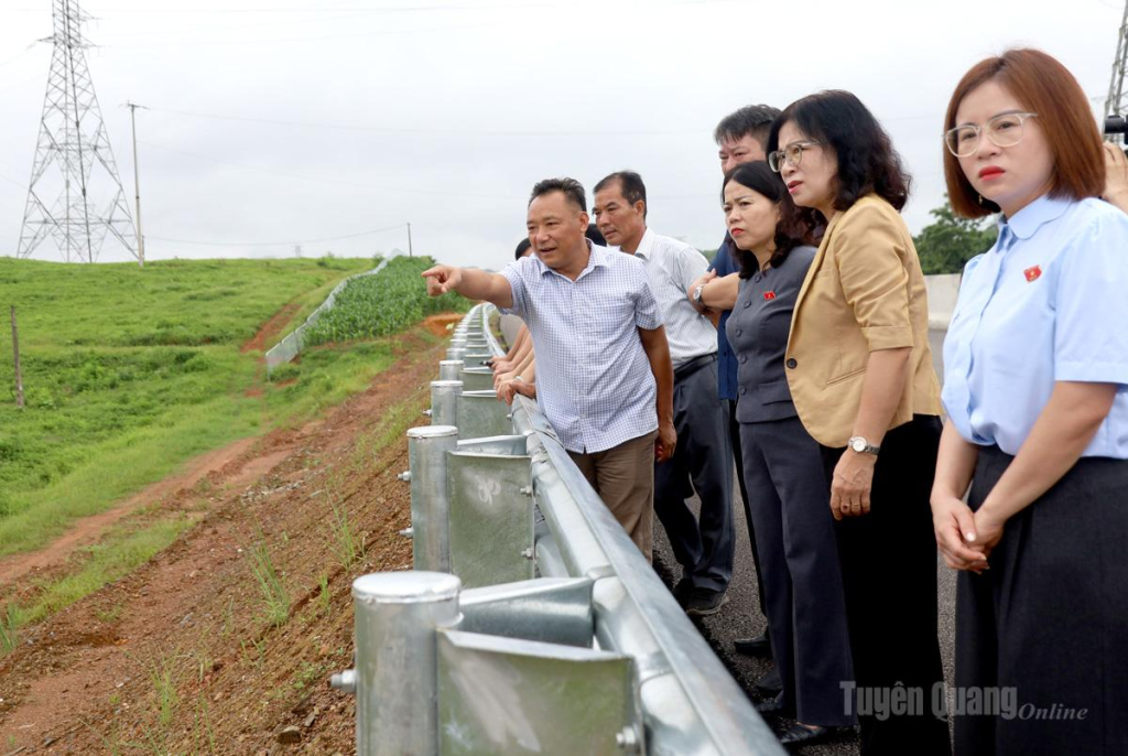 Đoàn ĐBQH khóa XVI tỉnh khảo sát thực tế tại khu vực đất Công ty Cổ phần Chè Hùng An đang quản lý ở thôn Bó Loỏng, xã Hùng An.