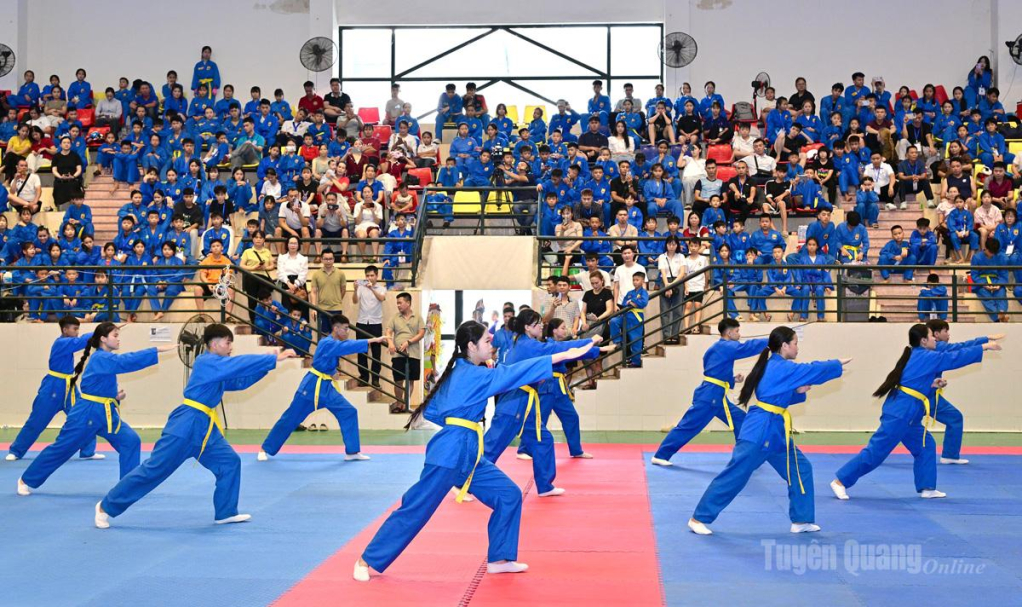 Biểu diễn các thế võ Vovinam.