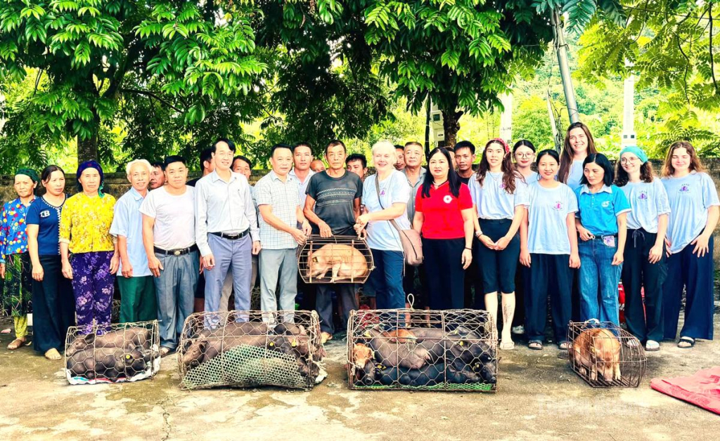 Tổ chức EPVN và lãnh đạo xã Vị Xuyên trao tặng lợn giống cho 20 hộ gia đình thôn Suối Đồng.
