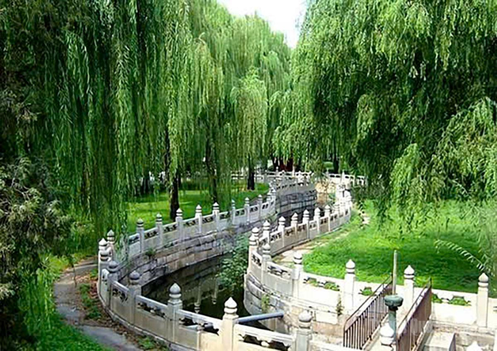 Ngự hoa viên, một không gian xanh mát bên trong Tử Cấm Thành.
