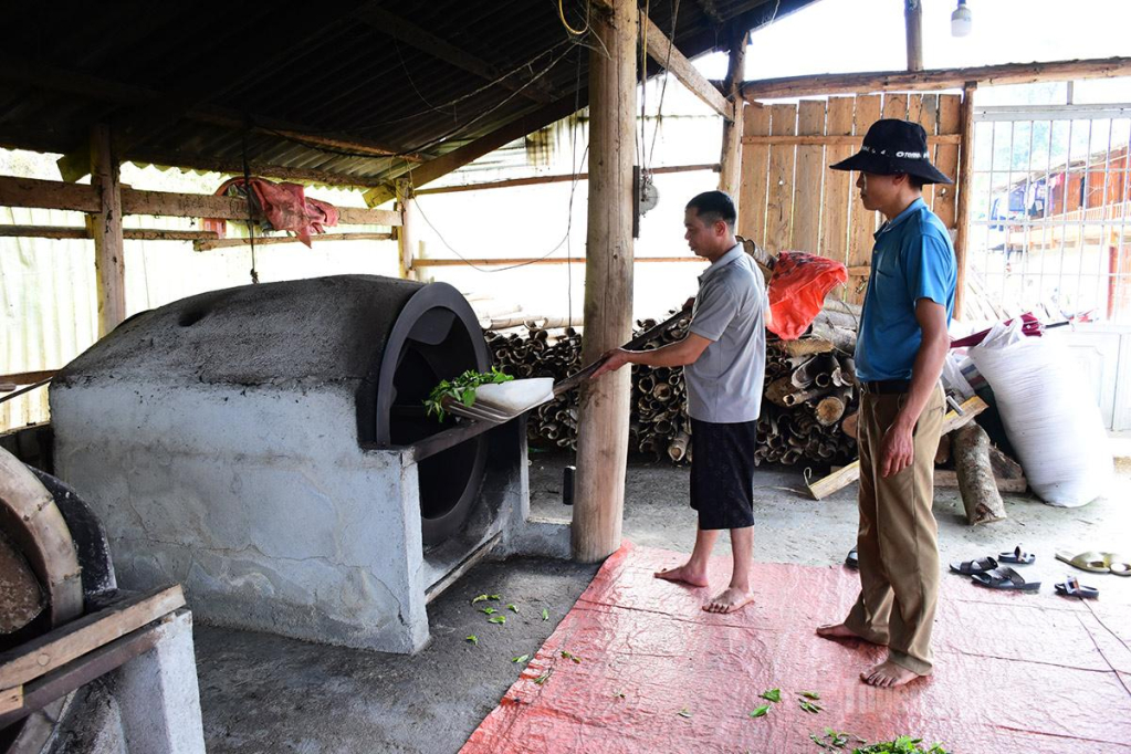 Ông Bồn Văn Chẳn, thôn Nặm Tà, xã Lao Chải tự tay chế biến chè.