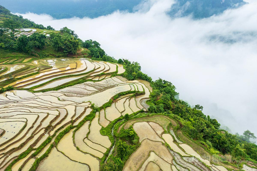 Vũ điệu của nước.