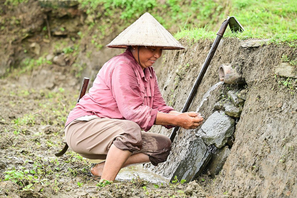 Niềm vui khi có nguồn nước về.