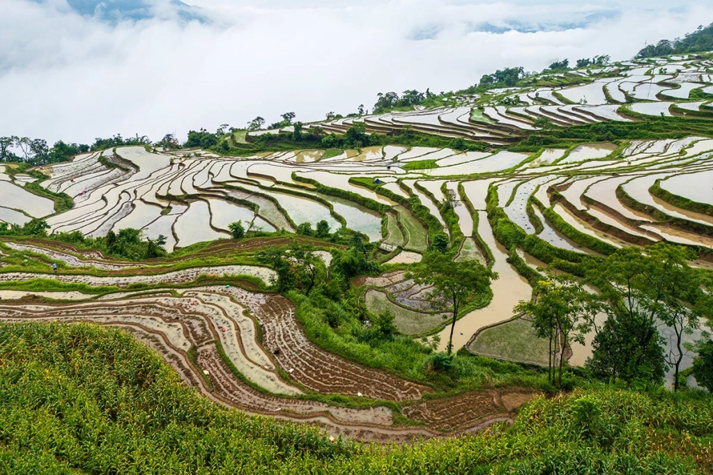 Những đôi bàn tay của nông dân Hồng Thái hóa đất đá núi thành bức tranh thủy mặc tuyệt đẹp.