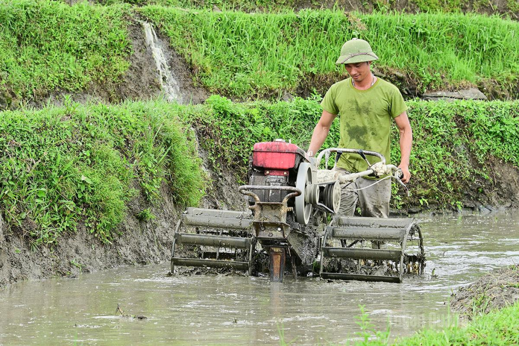 Ngoài sức người là chủ đạo, người dân nơi đây còn sử dụng sức trâu và máy cày cóc, góp phần đẩy nhanh tiến độ làm đất, gieo cấy.