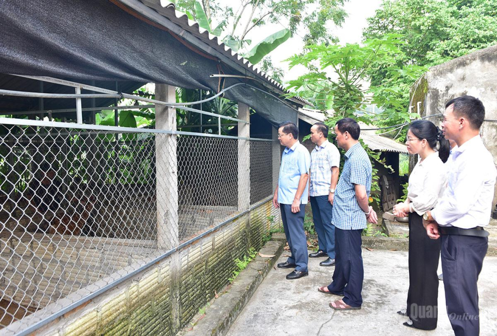 Trưởng Ban Tổ chức Tỉnh uỷ Trần Quang Minh cùng các đại biểu tham quan mô hình nuôi hươu của hộ anh Âu Dương Phong, thôn Đá Trơn, xã Đông Thọ.