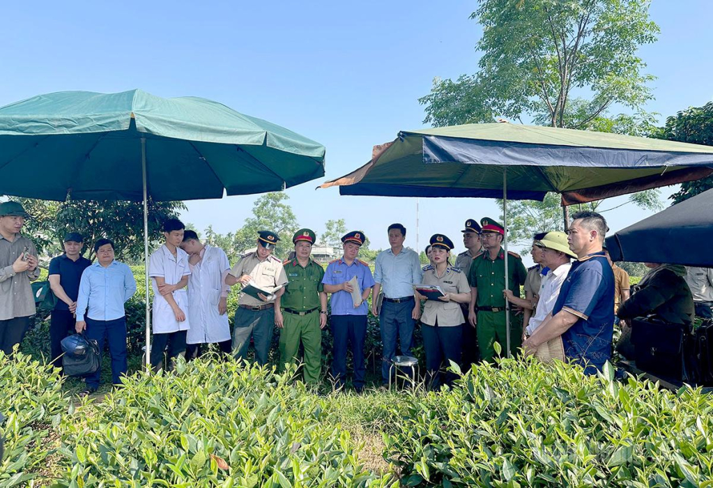 Một buổi cưỡng chế của Chấp hành viên, Thi hành án dân sự tại Phường Mỹ Lâm, Tuyên Quang.