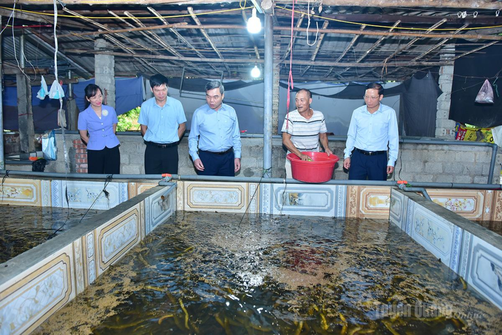 Đồng chí Phó Bí thư Tỉnh ủy, Chủ tịch Ủy ban MTTQ Việt Nam tỉnh Ma Thế Hồng tham quan mô hình nuôi lươn hộ Nguyễn Hà Minh, thôn Tân Phú, xã Hàm Yên.