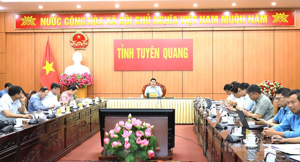 Phó Chủ tịch UBND tỉnh chủ trì buổi làm việc.