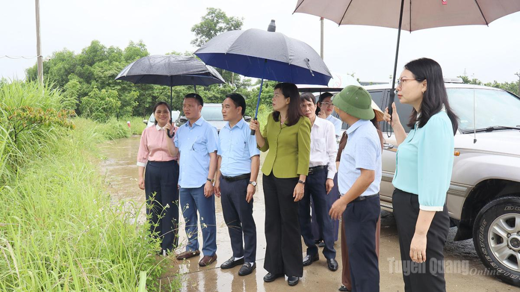 Đoàn giám sát thực tế tại phường Bình Thuận về quản lý, sử dụng đất và giao đất, cho thuê đất đối với các tổ chức kinh tế.