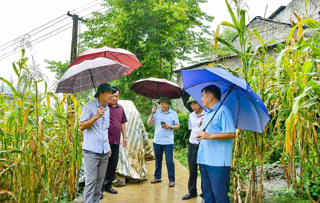 Phó Chủ tịch Thường trực HĐND tỉnh Hầu Minh Lợi kiểm tra, khảo sát tuyến đường bê tông nhóm hộ tại thôn Sủng Cháng.