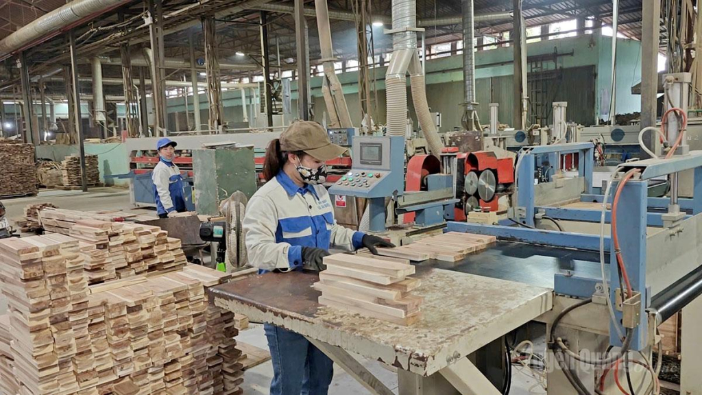 Công ty cổ phần Cơ khí Tuyên Quang đầu tư dây chuyền sản xuất hiện đại, nâng cao chất lượng sản phẩm.