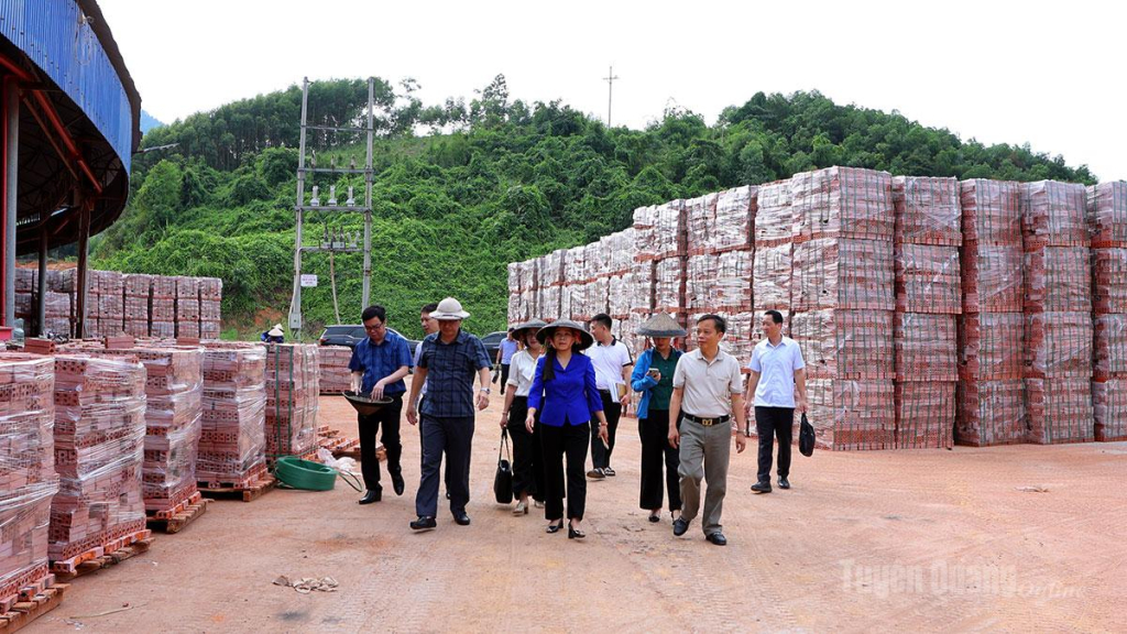 Phó Chủ tịch HĐND tỉnh Lê Thị Thanh Trà và đoàn giám sát khảo sát thực tế tại Dự án xây dựng Nhà máy gạch tuynel công nghệ cao Tuyên Quang.