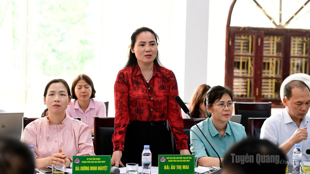 Đồng chí Âu Thị Mai, Ủy viên BCH Đảng bộ tỉnh, Chủ tịch Hội liên hiệp Phụ nữ tỉnh phát biểu tại phiên họp.
