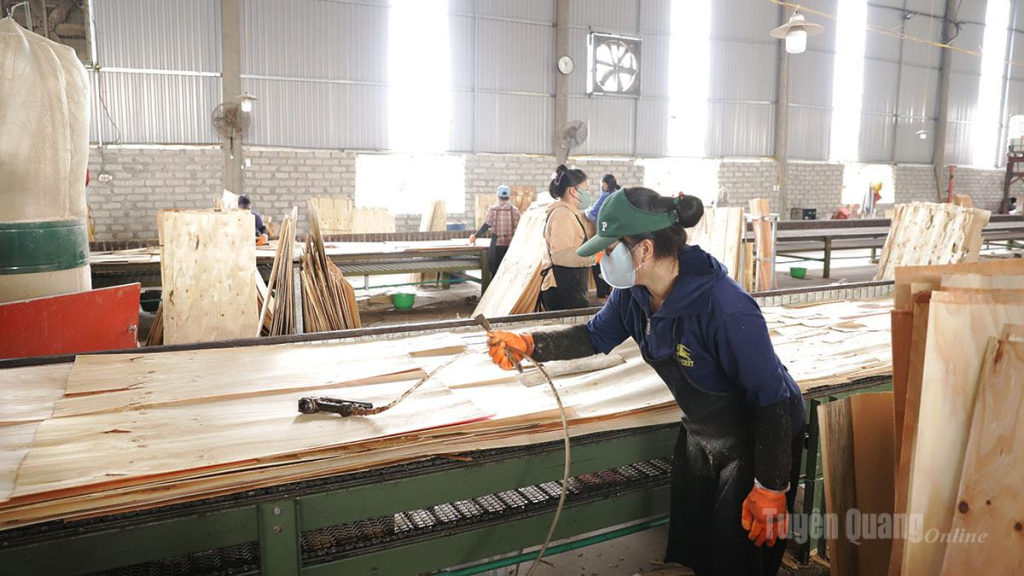 Năm 2025 nhiều cơ sở công nghiệp nông thôn tiêu biểu của tỉnh được hỗ trợ từ nguồn khuyến công địa phương, qua đó đã nâng cao năng suất, chất lượng sản phẩm.