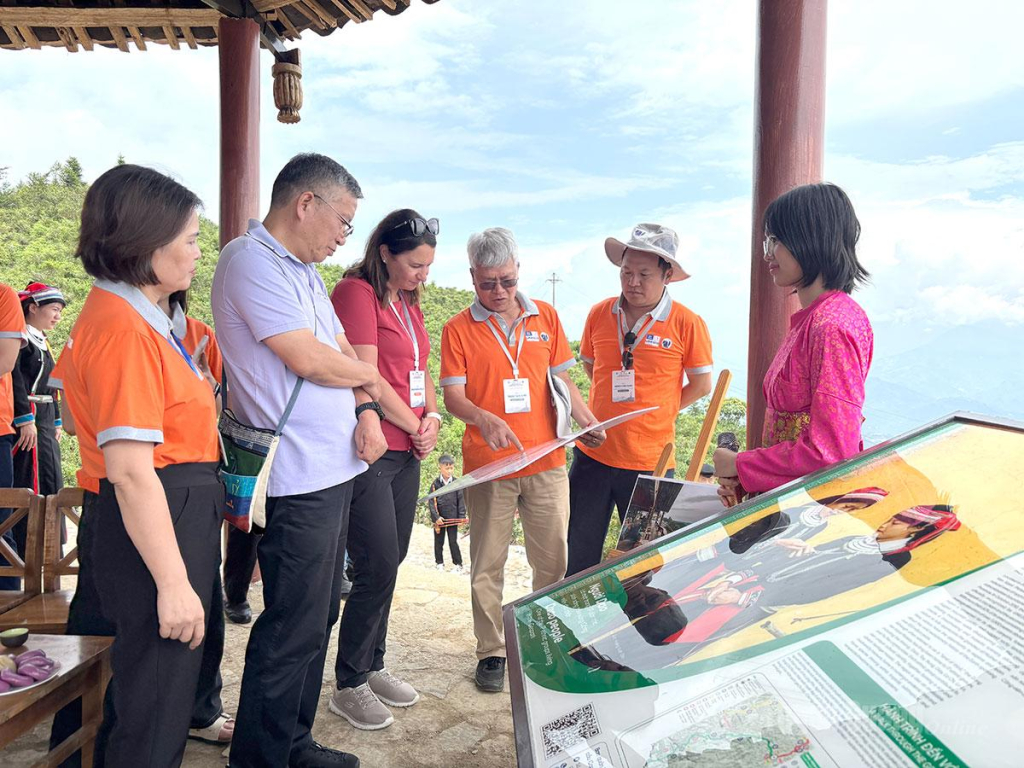 Đoàn chuyên gia Mạng lưới Công viên địa chất toàn cầu UNESCO khảo sát, nghe giới thiệu về giá trị của rừng chè cổ thụ Ngam La và mô hình bảo tồn gắn với phát triển du lịch cộng đồng tại xã Mậu Duệ.
