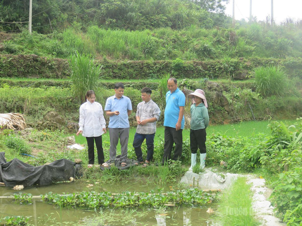  Lãnh đạo xã Tiên Nguyên và đảng viên Chi bộ thôn Xuân Hồng nắm tình hình phát triển  mô hình nuôi ốc nhồi liên kết.