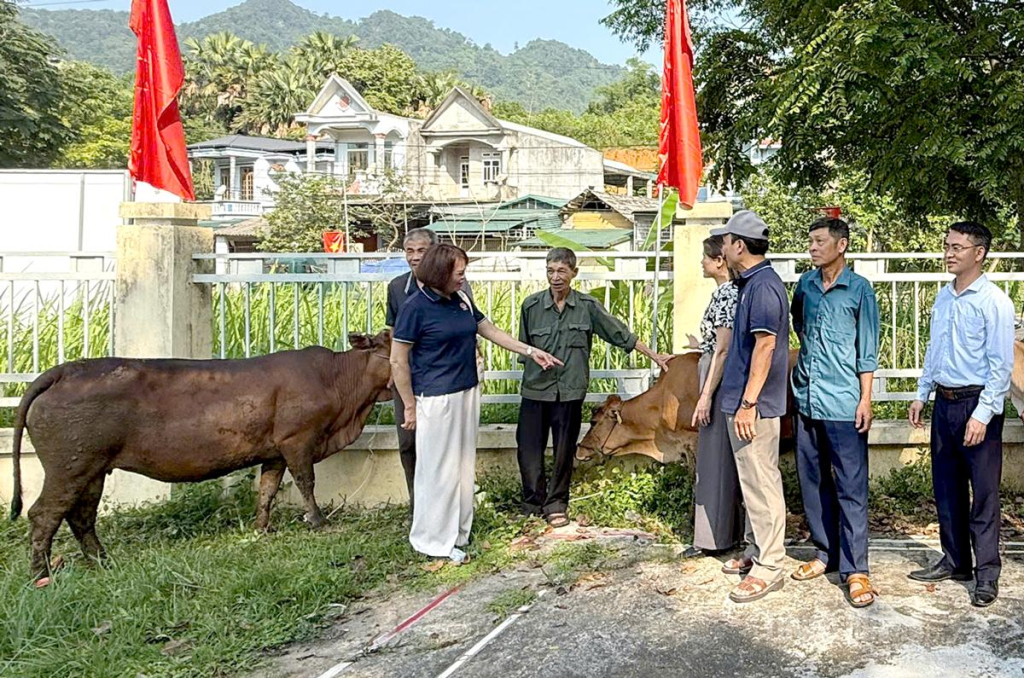 Hội Bảo trợ Người khuyết tật và trẻ mồ côi tỉnh trao bò sinh sản cho người khuyết tật xã Yên Nguyên.