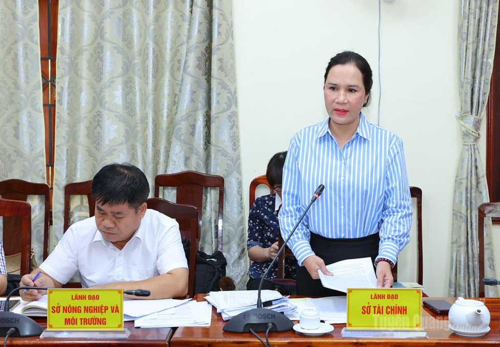 Lãnh đạo Sở Tài chính phát biểu ý kiến.