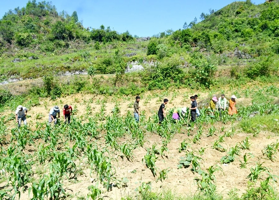 Người dân xã Thượng Phùng thi đua lao động sản xuất.