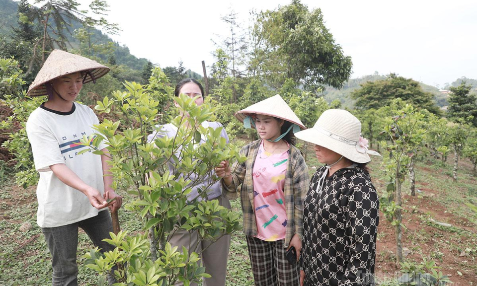 Hương hồi Bắc M&ecirc;