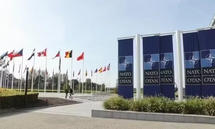 Ph&eacute;p thử cho quan hệ đồng minh