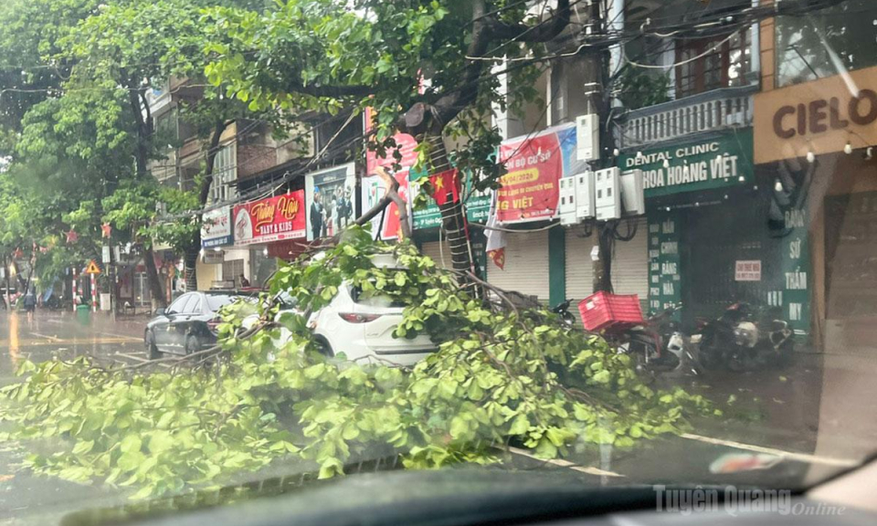 Chủ động ứng ph&oacute; với mưa lớn, lũ qu&eacute;t, sạt lở đất, lốc, s&eacute;t, ngập lụt