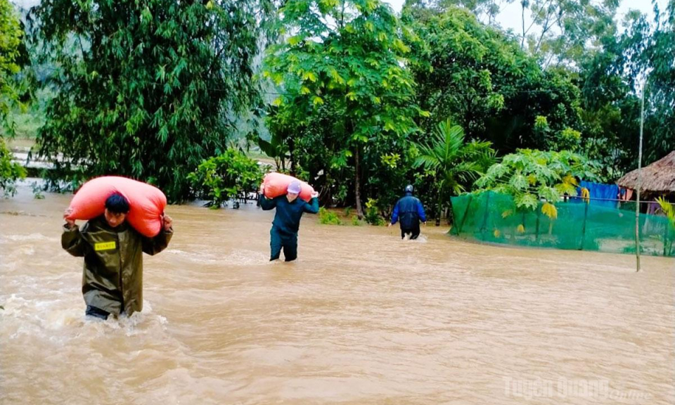 Mưa lớn g&acirc;y thiệt hại gần 18,8 tỷ đồng tr&ecirc;n địa b&agrave;n to&agrave;n tỉnh