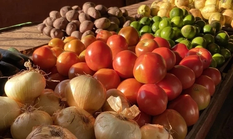 Li&ecirc;n hợp quốc hỗ trợ chương tr&igrave;nh cung cấp bữa ăn học đường ở Cuba