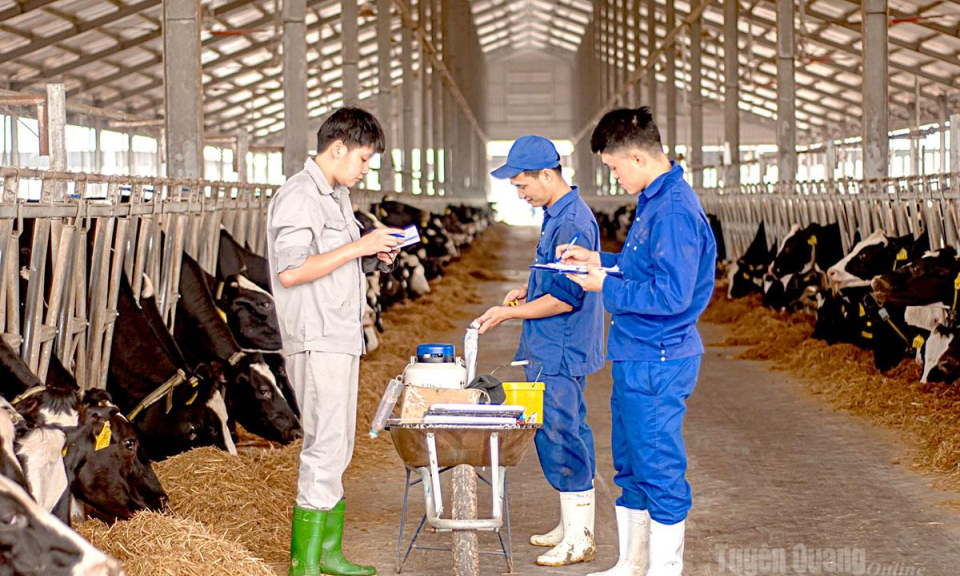 C&ocirc;ng ty cổ phần Hồ Toản đạt chứng chỉ quốc tế Global S.L.P