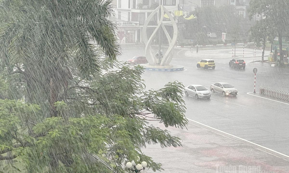 Tuy&ecirc;n Quang: Chủ động ứng ph&oacute; mưa lớn do ảnh hưởng cơn b&atilde;o số 1