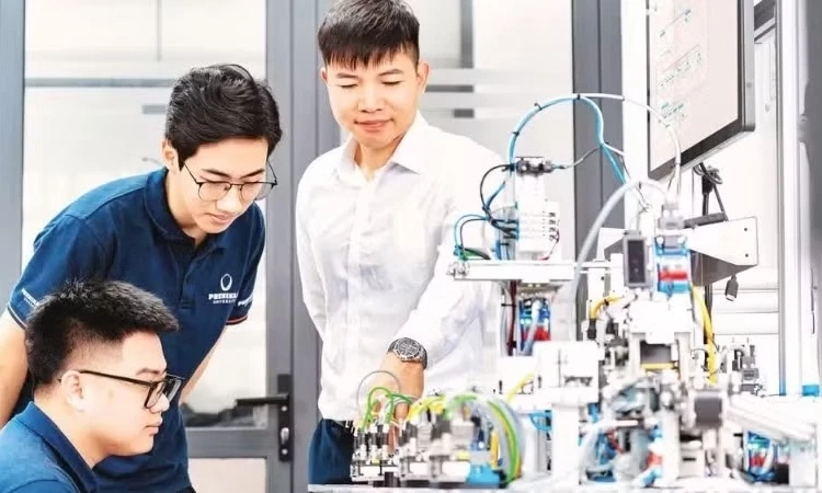 Ho&agrave;n thiện hệ sinh th&aacute;i hỗ trợ, tăng cường li&ecirc;n kết