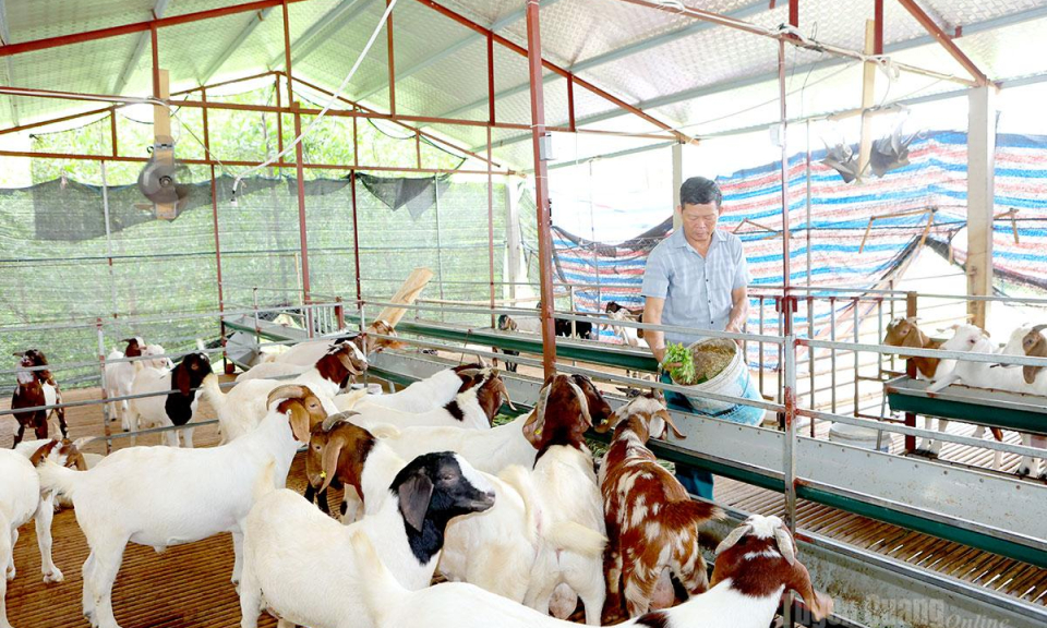 Chuyển dịch tư duy để l&agrave;m gi&agrave;u ở Ph&uacute; Lương